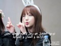 تقرير صغير على كي من lovelyz