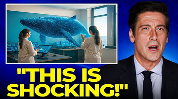 AI Just Decoded Language of Whale What They’re Saying Will Leave You Speechless!