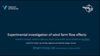 Experimental investigation of wind farm flow effects