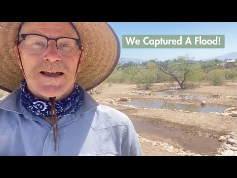 Dryland rain gardens harvest all water from burst water line!