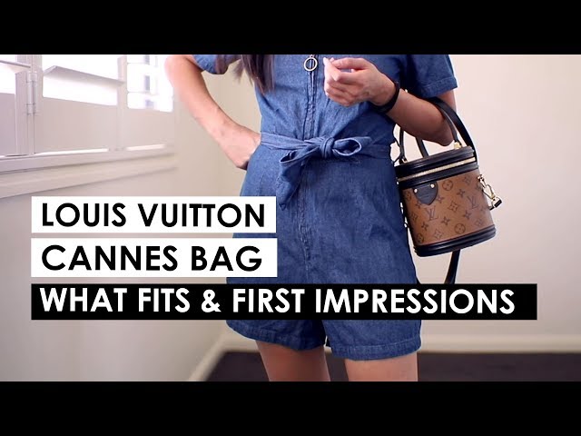 Louis Vuitton Cannes Reverse Bag