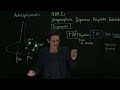 Brandl S Basics Pharmacology Of Antidepressants 6 8 DNRIs Bupropion Brandl S Basics Pharmacology Of Antidepressants 6 8 DNRIs Bupropion