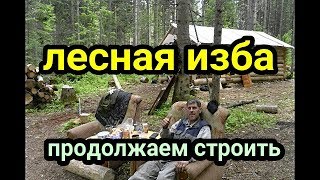 Лесная изба.Продолжаем  строить избушку # 5.