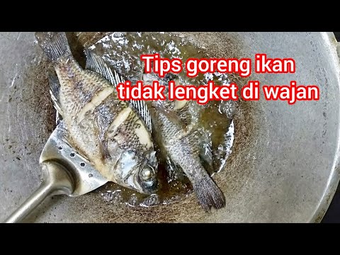 Cara Menggoreng Ikan Mujair Agar Tidak Lengket Di Wajan