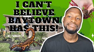 Baytown Texas | Moving to Baytown TX