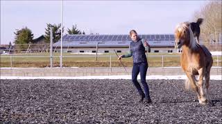 Bewerbungs Für Den Katina Showcup Der Equitana Essen 2022