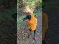 GO AND KWAY