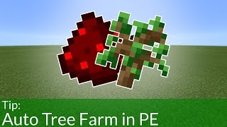 Automatic Tree Farm in Minecraft Pocket Edition