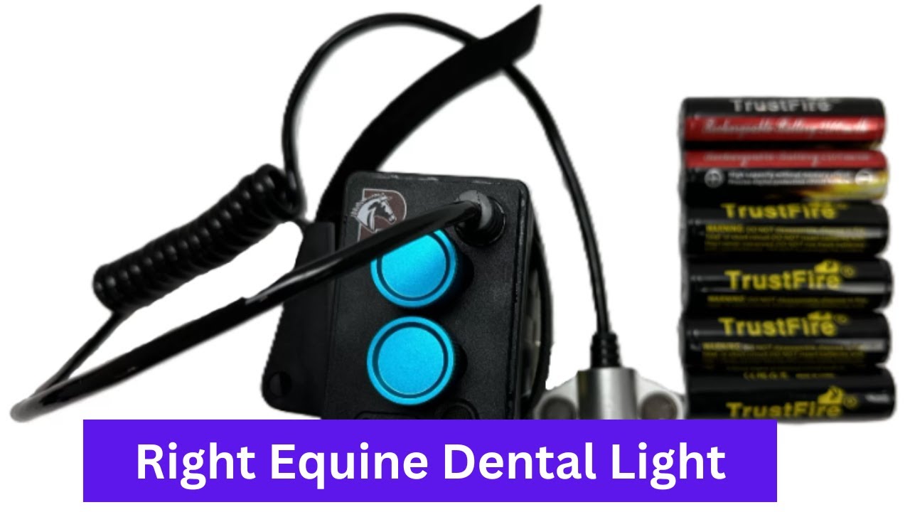 How to Find the Right Equine Dental Light