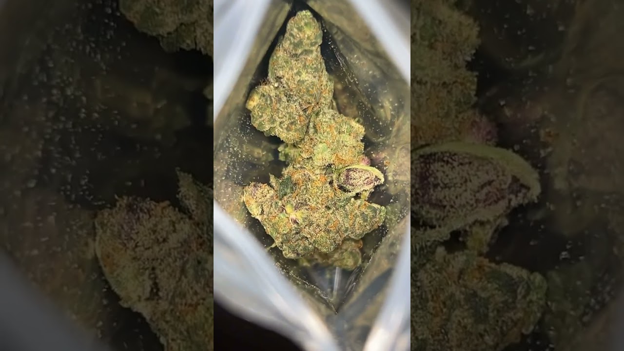 Garlic Icing 🧄 😶‍🌫️   