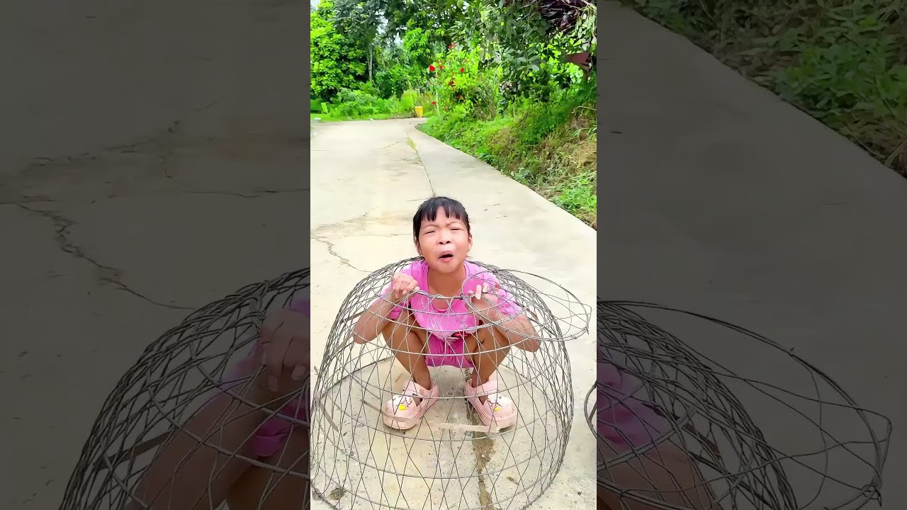  Who Will Catch The Rooster First