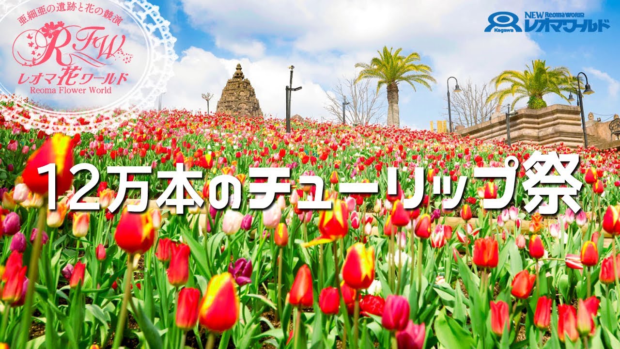 21年 レオマワールド 12万本のチューリップ祭 四国最大級 ラナンキュラス 遊園地 香川県 Youtube