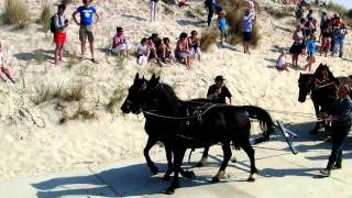 Reddingboot met paarden op Ameland, Hollum Reddingboot met paarden op Ameland, Hollum