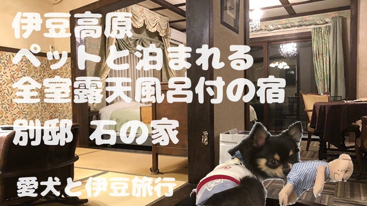 犬【伊豆旅行】別邸石の家​⁠ ​⁠@uni-channel2022 旅犬うに 2021 #6