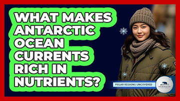 What Makes Antarctic Ocean Currents Rich In Nutrients?