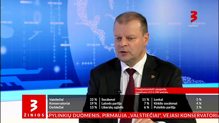Seimo rinkimai su TV3: pokalbis su Sauliumi Skverneliu