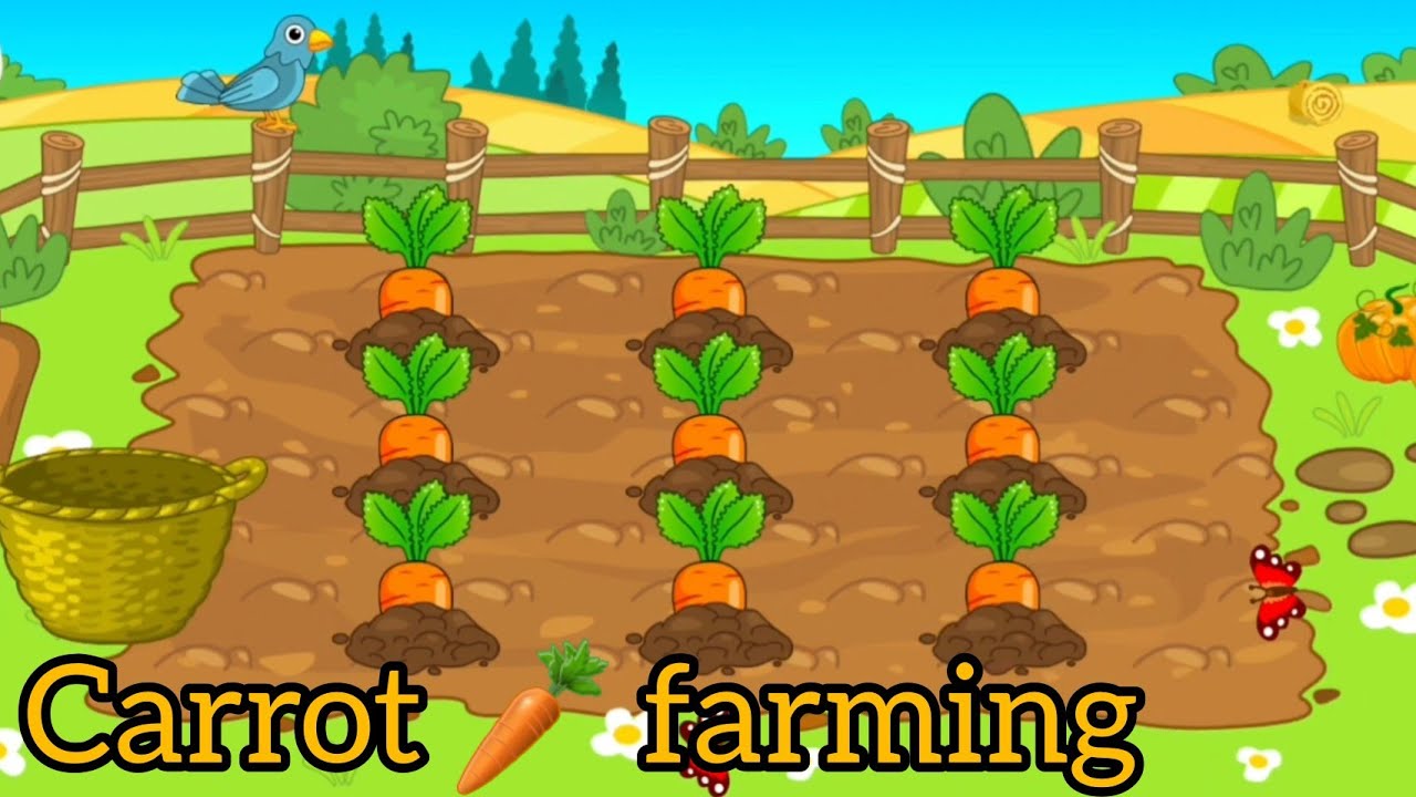 Tom carrot farm. cartoon carrot farming video fir kids. - YouTube