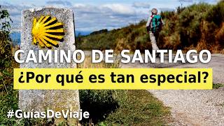 Camino de Santiago: Qué es y porqué se hace? Historia, Significado y Consejos para Peregrinos