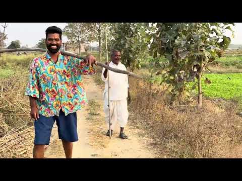 Senagakayakalchitinte | BITHIRISATHI LATEST | FOOD ORIGINALS | #funny #food
