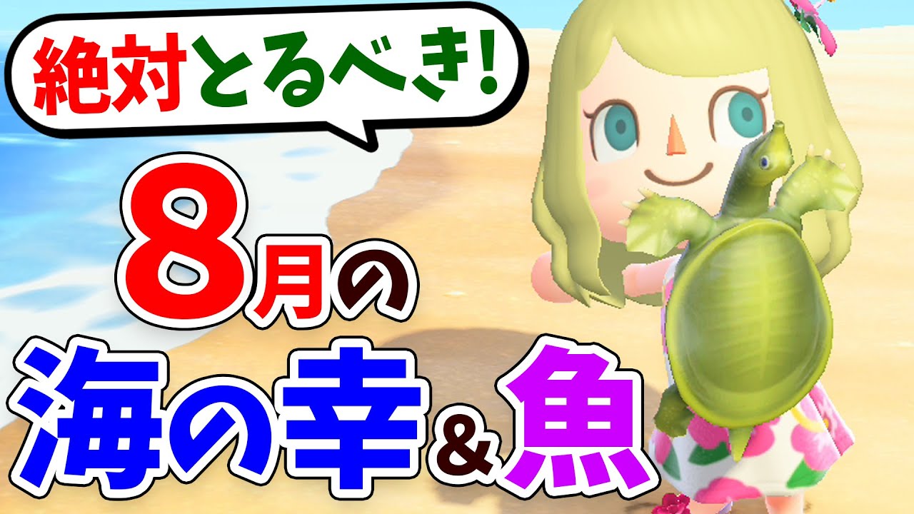 あつ森 8月の魚と海の幸を全て紹介 レアな魚と海の幸の値段や魚影をコンプしながら解説 ウツボやヒラムシの釣り方 泡の見分け方はこれだ あつまれどうぶつの森 攻略 Youtube