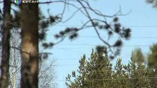 Коми Инкогнито Яг Морт