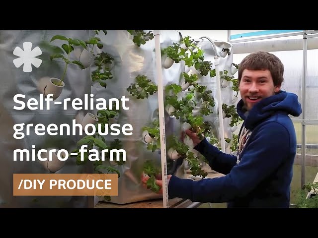 Self-sustaining farm for Wisconsin cold via backyard aeroponics