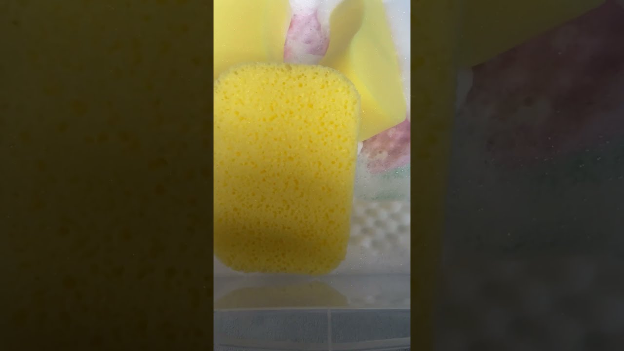 ASMR Sponge squeezing