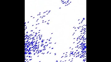 Swarming - active matter simulation