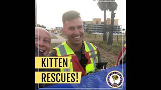 Kitten rescues!