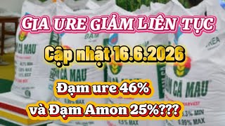 CẬP NHẬT URE Ca mau-Đạm Ure 46 va Đạm Amon 25 nên sử dụng loại nào?