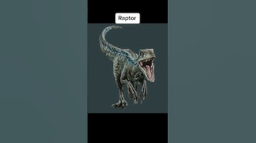 Proof that there are still living dinosaurs in the world😵 #shorts