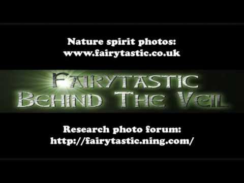 Fairies, Real Fairy Photos, Nature Spirit Photography, Elemental Beings, Real Gnomes & Faeries