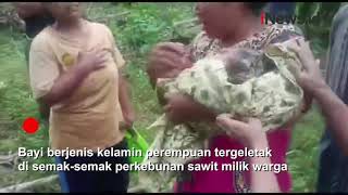 Bayi Dibuang Di Kebun Sawit