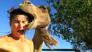 Is camel hair cruel?