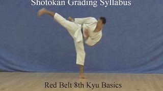 Red Belt 8th Kyu Shotokan Karate Syllabus Basics