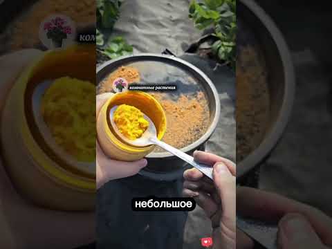 всего 3 ложки на ведро и почва как новая