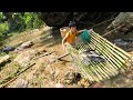 Fish trapping skills the orphan boy khai traps stream fish in a primitive way sell in the village