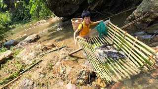 Fish trapping skills, the orphan boy khai traps stream fish in a primitive way sell in the village