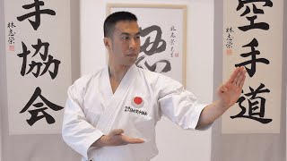 LET'S LEARN KARATE with Ryan Hayashi #1 - Beginners Training At Home screenshot 4