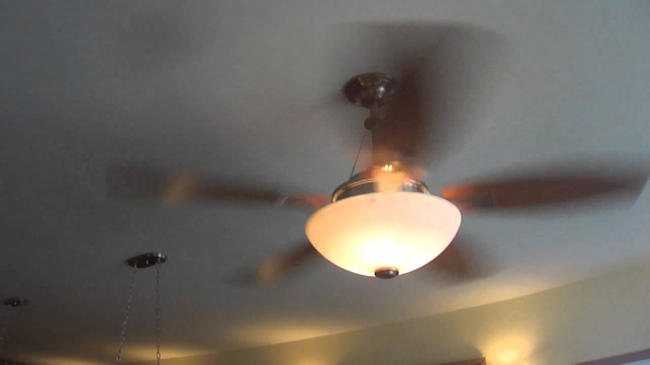 Hampton Bay Brookedale Ceiling Fans 3 4 Of 4 Youtube