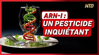 ARN- I : Un pesticide génétique qui pose question ; Le jugement de Pierre Palmade | NTD L’Actu