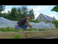  gardeners world 2023  this impressive kitchen garden grows 80  of their vegetables using no