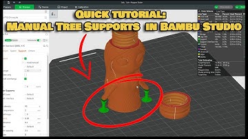 How to Add Manual Tree Supports to 3D prints in Bambu Studio-Quick tutorial