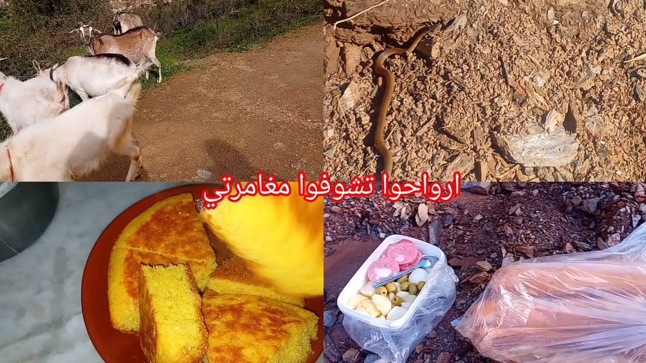 عرفت بلي ملتوا منها بصح كل يوم كفاش  نطيبها ومغامرة في la  rivière de  village  وحدها  