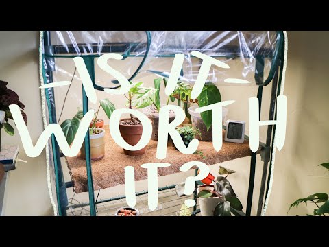 Video: Greenhouse On The Windowsill: Mini Greenhouse At Home For Seedlings On The Window, Greenhouse In The Apartment On The Balcony