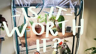 I bought an indoor greenhouse | full review & experience so far!