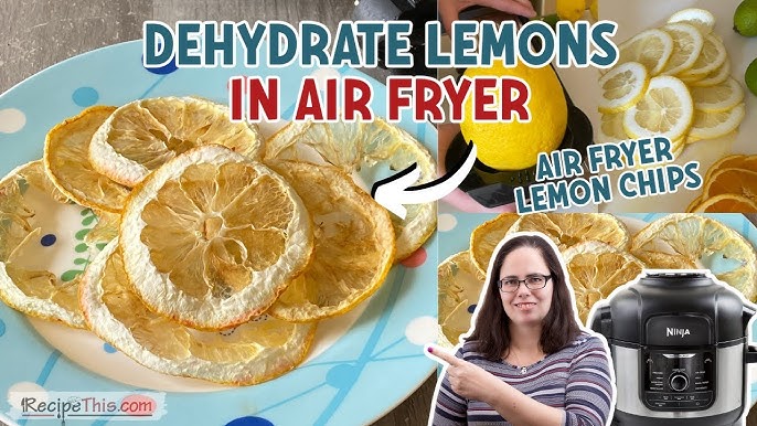 Air fryer oranges  dehydrated orange slices Air fryer recipes SecondRecipe