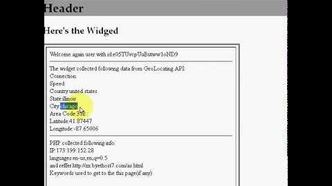 Web Widget generated by JavaScript