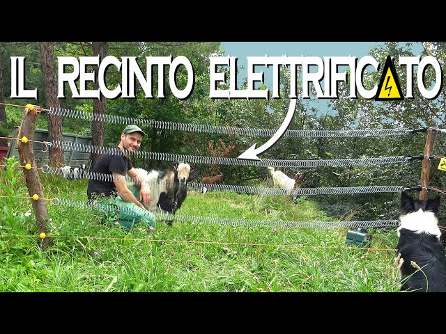 Elettrificatore da 9 V, 12 V, 230 V TERRA 3 per recinto elettrico  VOSS.farming