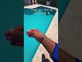 Tempo de limpeza #limpedepiscina #piscina #piscineiro